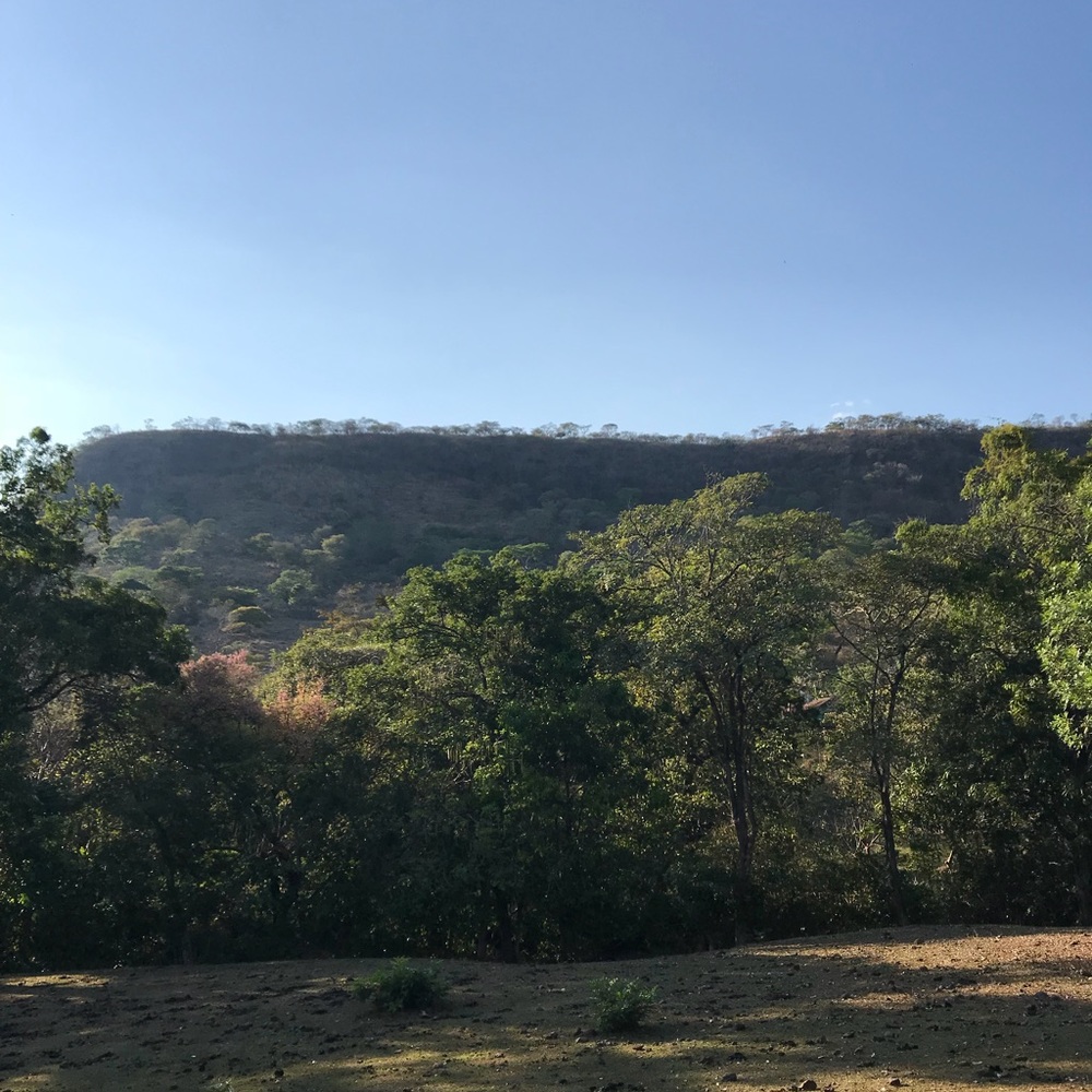 Meet your Posher, Antonio